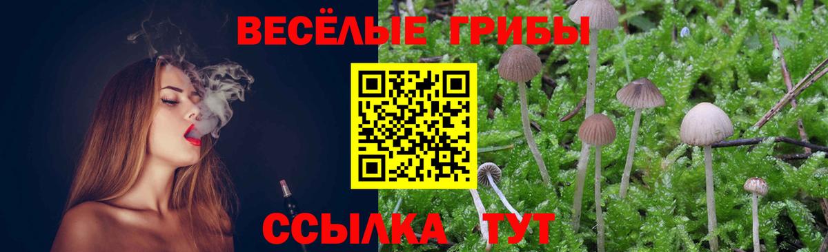 Галлюциногенные грибы мухоморы Кинешма